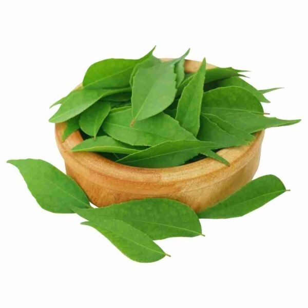100 Natural Curry Leaves (Kadi Patta) Powder for Hair 100g Authentic